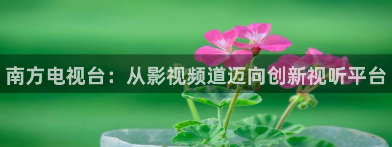 超碰97在线人妻：南方电视台：从影视频道迈向创新视听平台