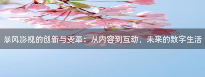 97影院资源：暴风影视的创新与变革：从内容到互动，未来的数字生活