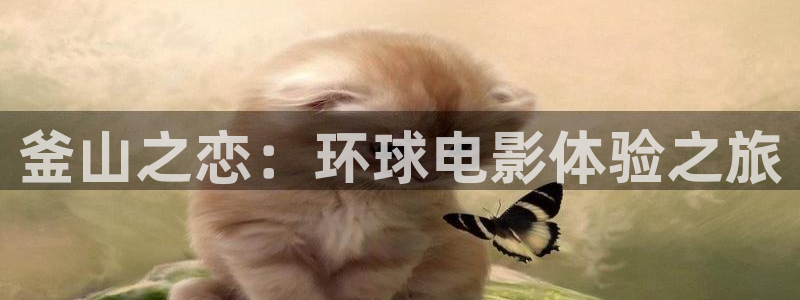 97超碰人人干：釜山之恋：环球电影体验之旅